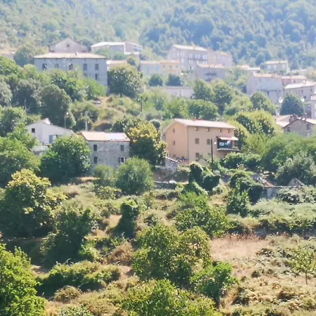 Maison De Village Avec Jardin Privatif * Zicavo