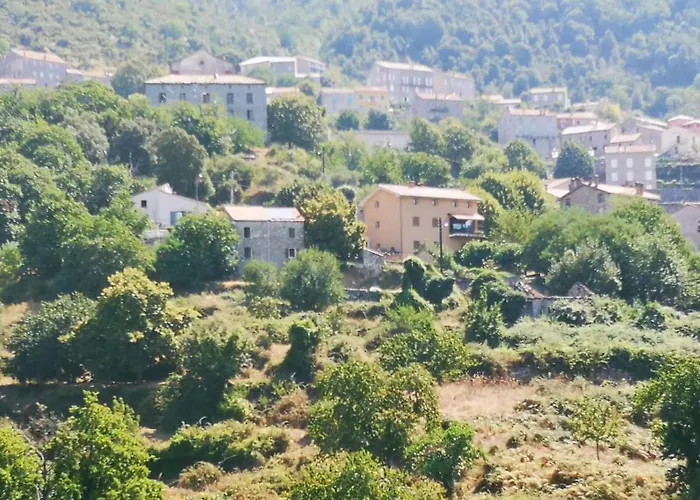 Maison De Village Avec Jardin Privatif * Zicavo